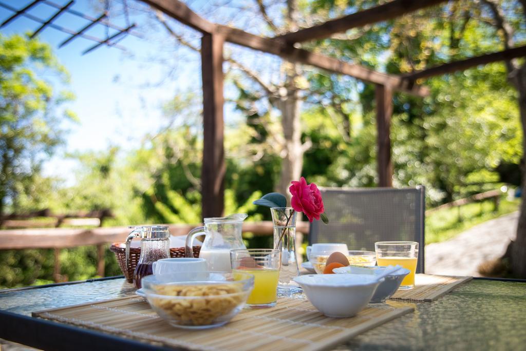 Kallisto Guesthouse تساغارادا المظهر الخارجي الصورة