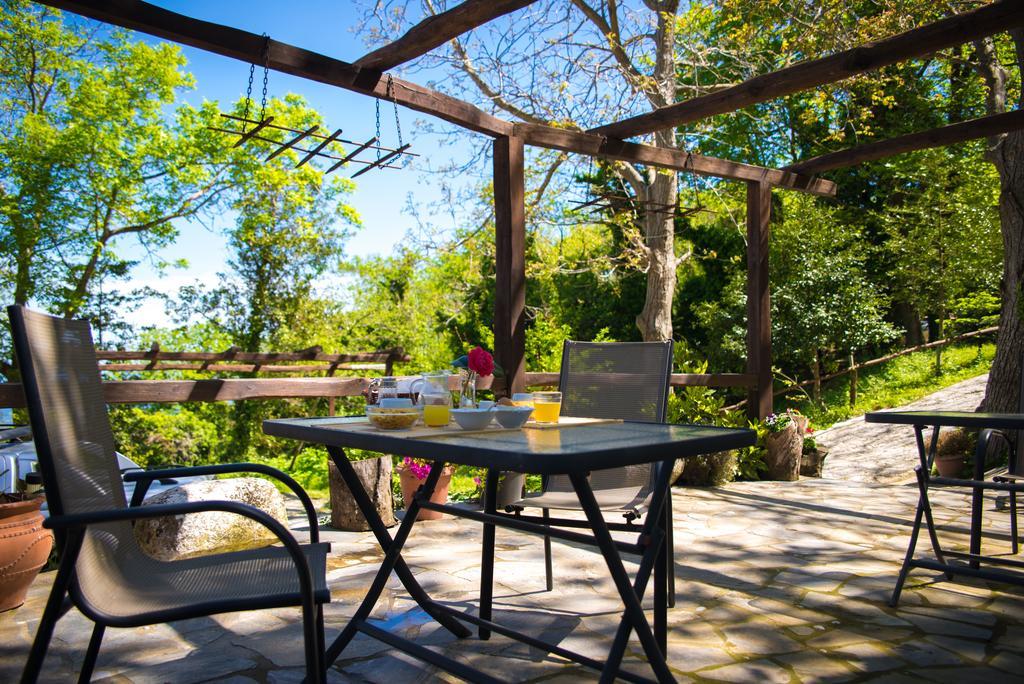 Kallisto Guesthouse تساغارادا المظهر الخارجي الصورة